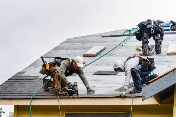 Professional Storm Damage Roof Repair technician working in Trumbauersville, PA